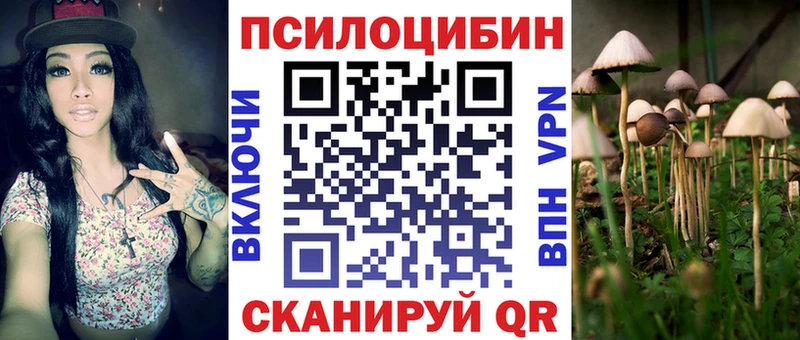 Псилоцибиновые грибы Cubensis  Калязин 